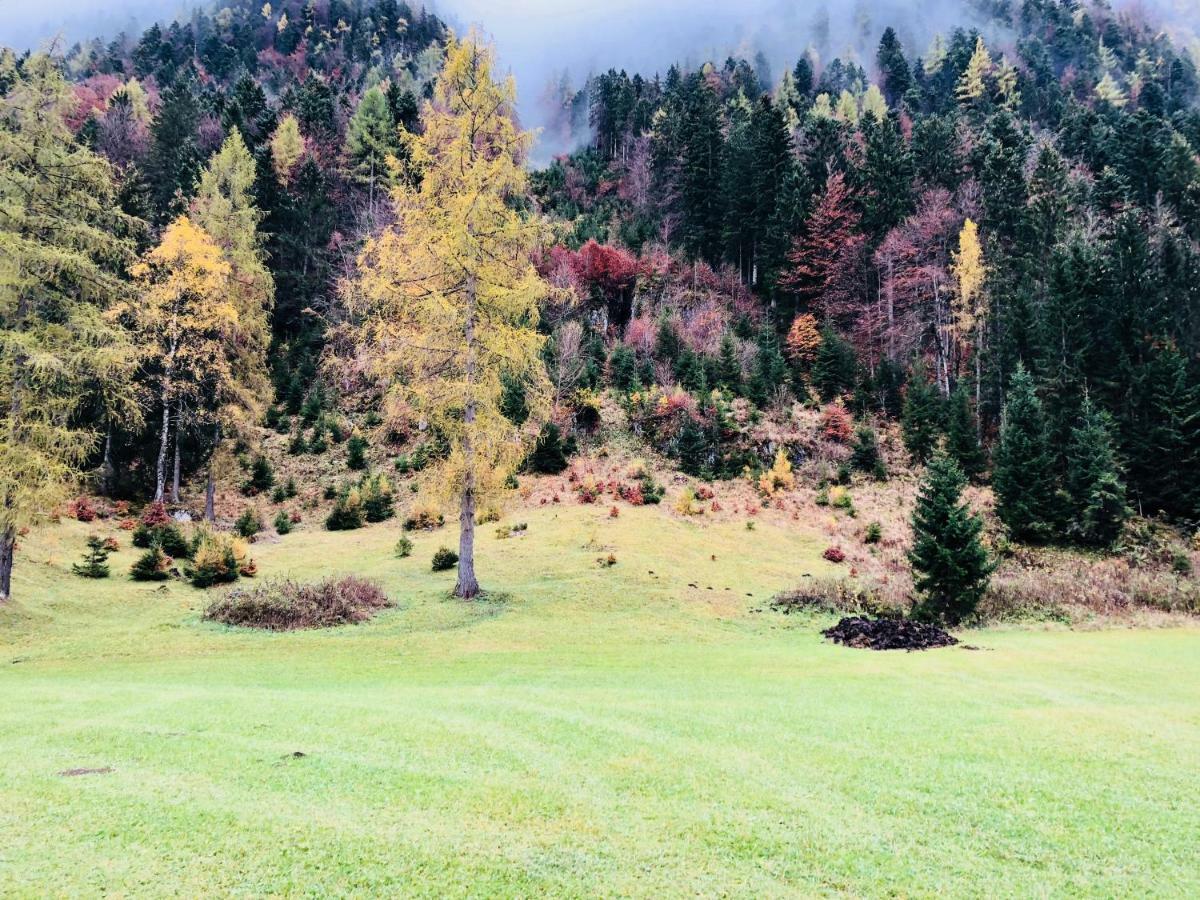 Obern 41 Lägenhet Leutasch Exteriör bild