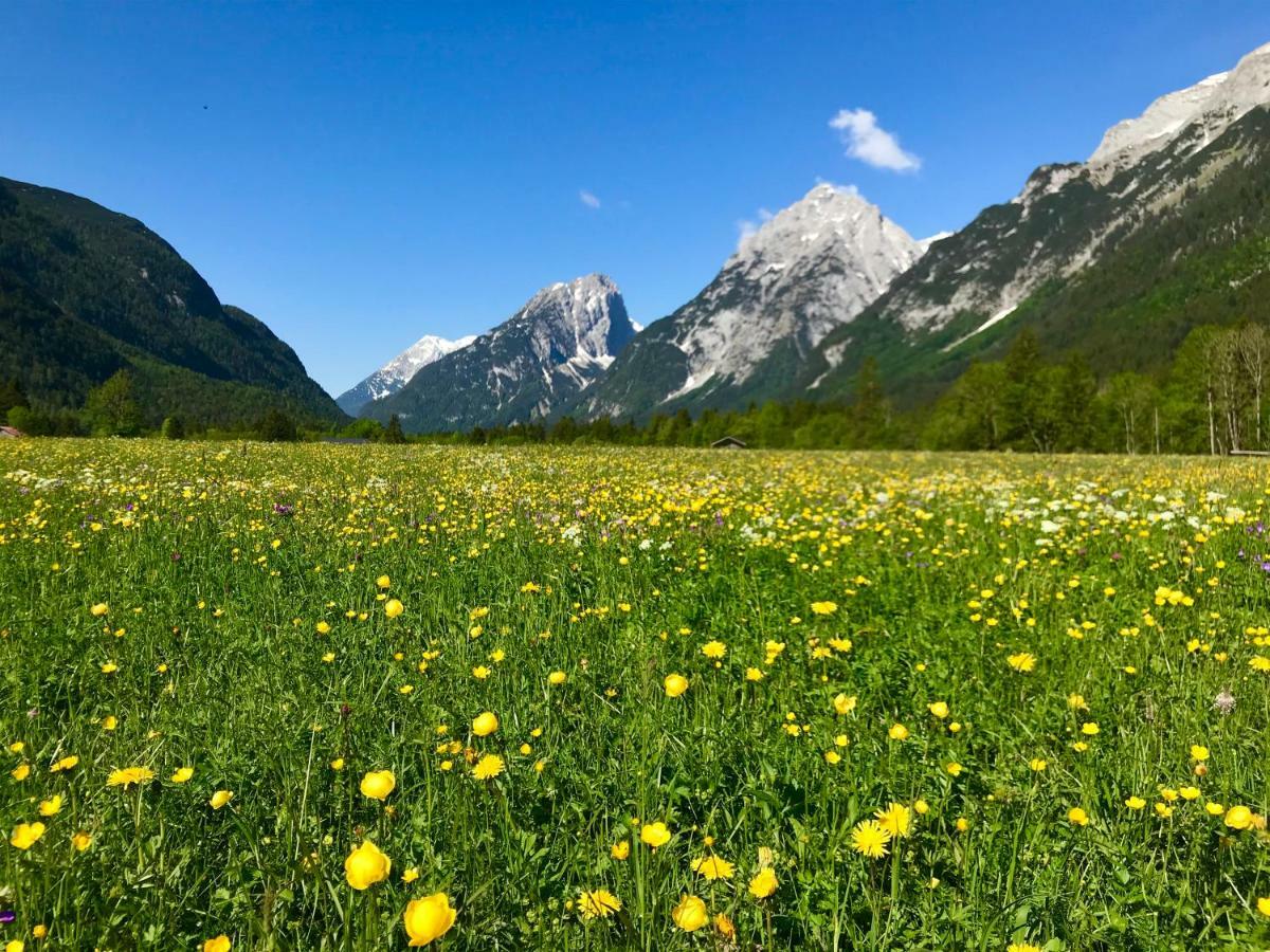 Obern 41 Lägenhet Leutasch Exteriör bild